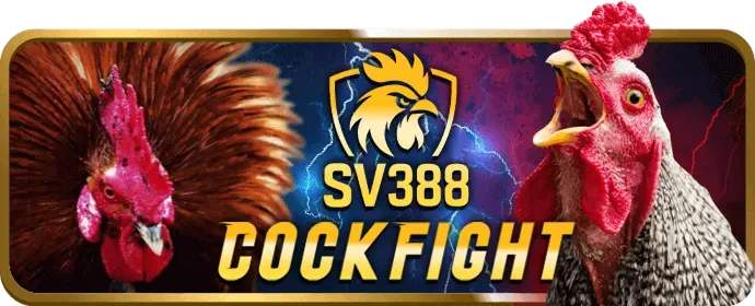 Biểu mẫu Liên hệ bl5555